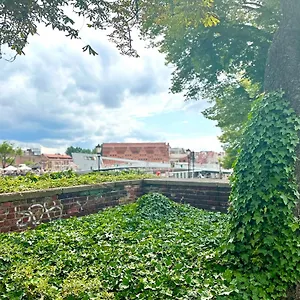 Mmrent Gold Gdańsk